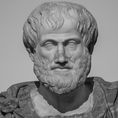 Aristotle (384 - 322 BC)