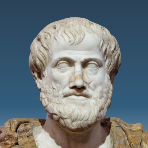 Aristotle (384 - 322 BC)