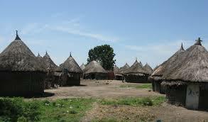 Nya comes back to her village