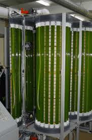 Biorreactor de algas y biocombustibles