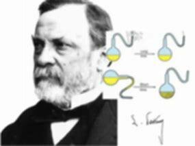 refuta la generación espontanea