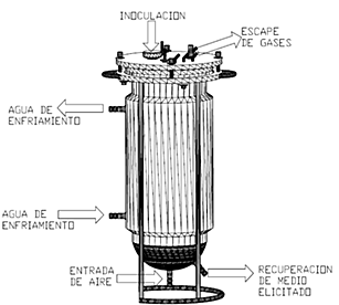 Reactor a gran escala