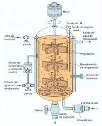 Biorreactor de tanque de agitado