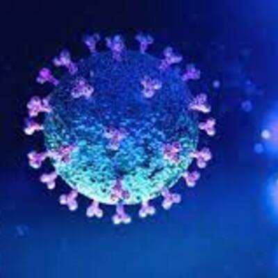 Timeline: coronavirus timeline