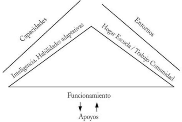 Modelo Teórico del Retraso Mental (AAMR)