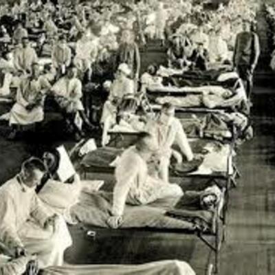 Timeline: enfermedades virales