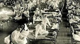 Timeline: enfermedades virales