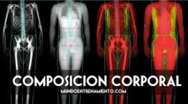 Timeline: Línea del tiempo de la evaluación de la composición corporal  Equipo 10 Nadia Anahí Banda Narváez   1807240  Citlalli Oliva Estrada 1907507  Julissa Anahí Morales de León 1991434 Guadalupe Monserrat Cervantes Cereceres 1918034