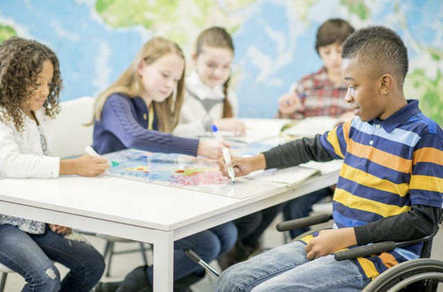 Individuals with Disabilities Act (IDEA)