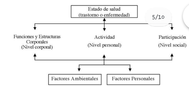 MODELO DEL FUNCIONAMIENTO Y DE LA DISCAPACIDAD DE LA OMS