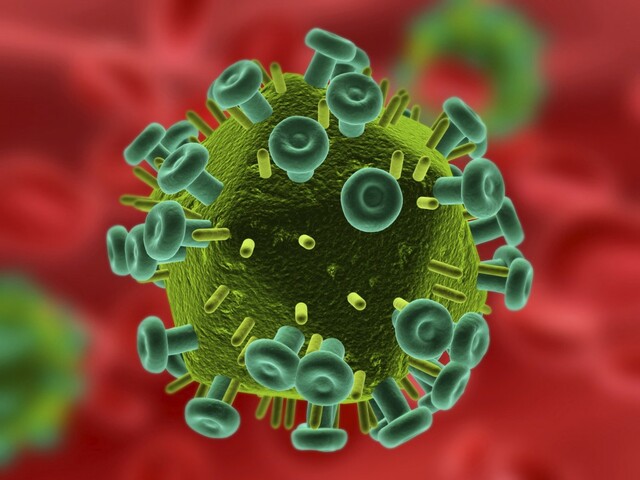 Virus de Inmunodeficiencia Adquirida (VIH)