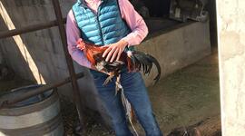 Timeline: JOSE ARTURO FIERRO AGUIRRE GRUPO 201