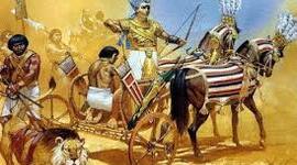 Timeline: Antecedentes Históricos de la Actividad Física