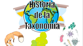 Timeline: Historia de la Taxonomía