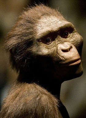 Australopithecus bahrelghazali.