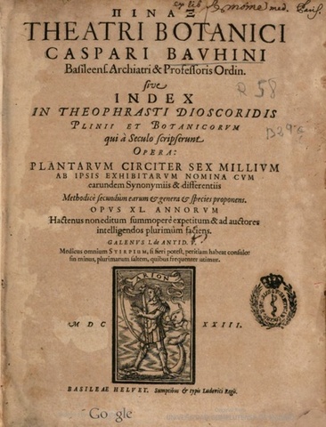 Gaspard Bauhin