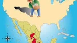 Timeline: Migración en México