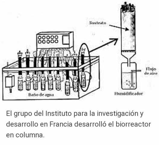 Biorreactor en columna