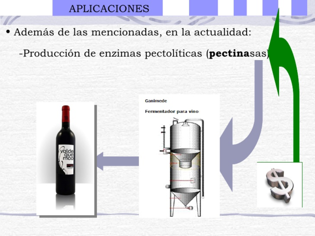Fermentación en medio sólido