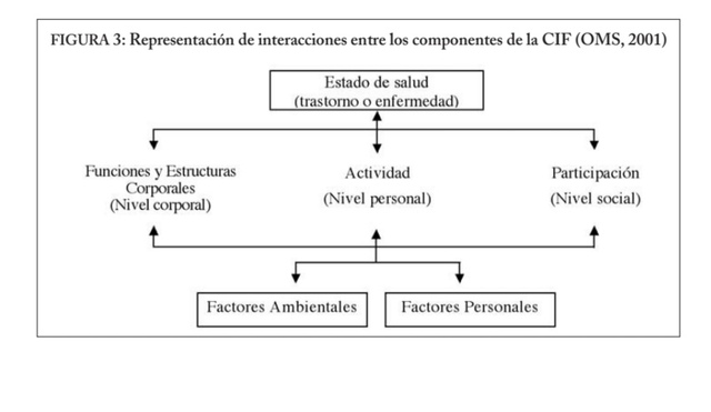 El modelo del funcionamiento de la discapacidad de la OMS