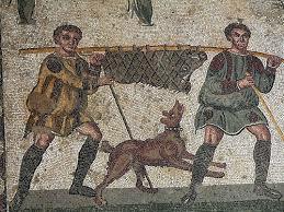 Introducción del cerdo América