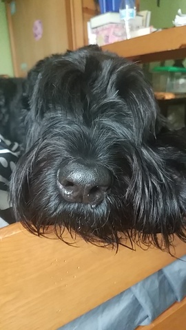 Fue mi ultimo de escuela (2020)