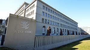 Instauración de la WTO