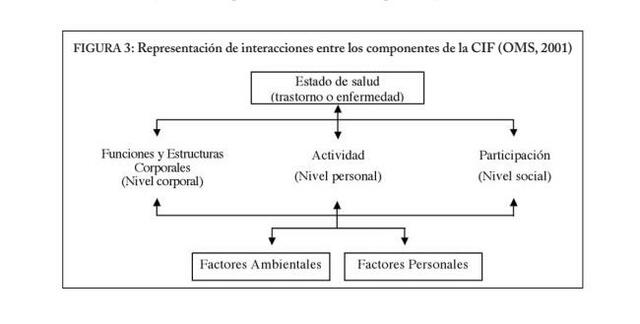 El modelo del funcionamiento y de la discapacidad de la OMS
