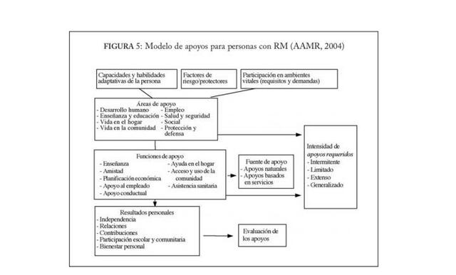 Modelos de apoyos para personas con RM.