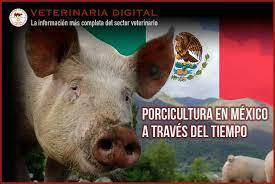 Porcicultura en México