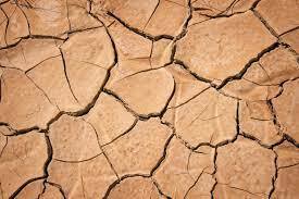 In the Dry season Nya has to dig holes