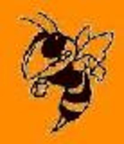 I became a member of the Freshman volleyball team at McT