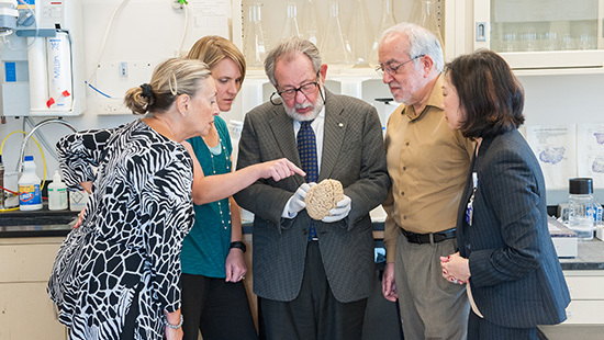 MAREK MARSEL MESULAM