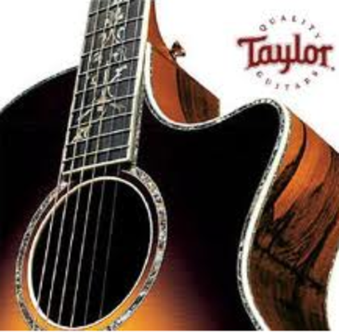 Started playing guitar