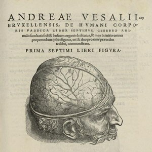 Obra los siete libros sobre la estructura del cuerpo humano.