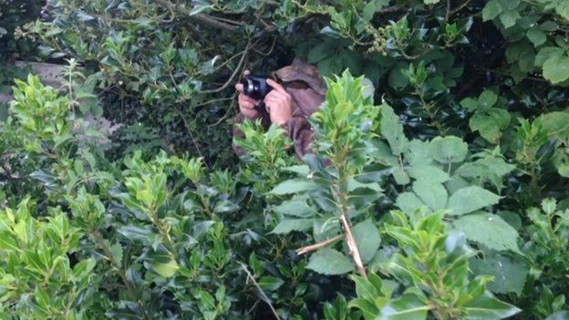 Hiding in the bush