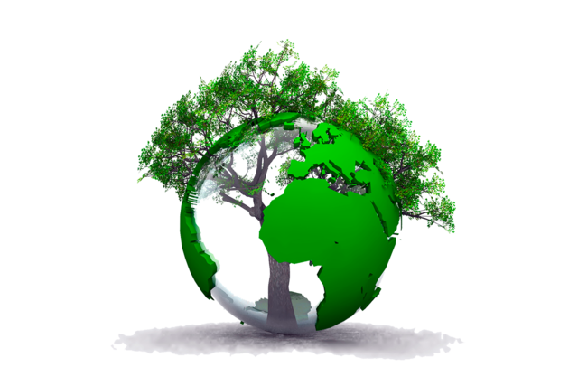 Se hace oficial el concepto de desarrollo sustentable o sostenible.