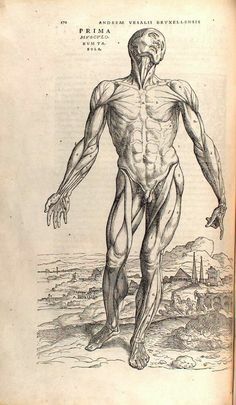 "Humani corporis fabrica" de Andrés Vesalio