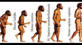 Timeline: Etapas de la evolución del ser humano
