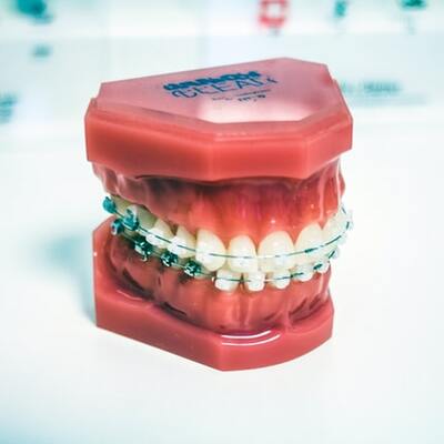 Timeline: La Historia De La Odontología