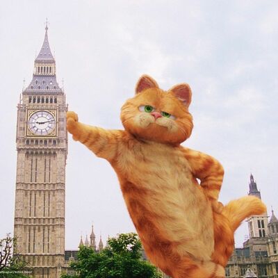 Timeline: Gallardo, Hinojosa, Muñoz, Muñoz y Pérez