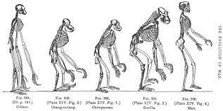 John Scopes creates a national conflict
