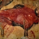 Prehistoric cave paintings   tutt'art@  (1)