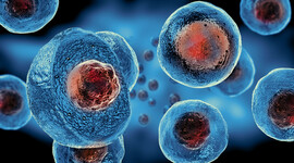 Timeline: EVOLUCIÓN DE LA TEORÍA CELULAR