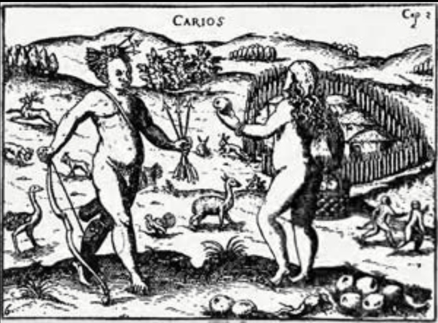 Organización socio-política