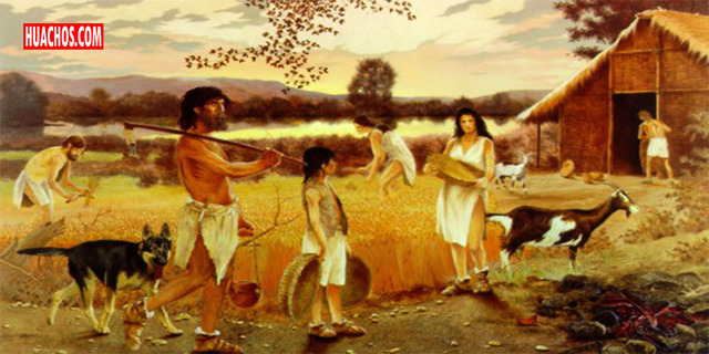 Domesticacio dels animals