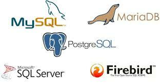 Primeros sistemas en gestión de  base de datos