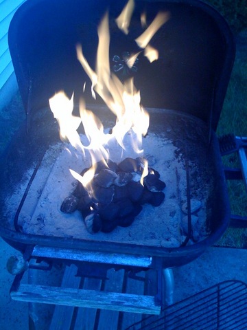 59. Learn How to Start a Grill