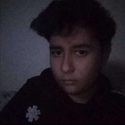 Timeline: Gabriel Eduardo Aguilar Lopez Grupo 250