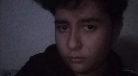 Timeline: Gabriel Eduardo Aguilar Lopez Grupo 250